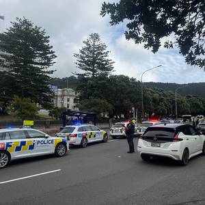 wellington-high-court:-brawl-erupts-in-public-gallery-at-murder-accused’s-hearing,-large-police-presence-outside-parliament