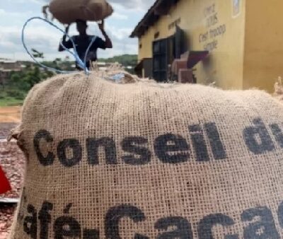 ivory-coast-intercepts-1500-bags-of-cocoa-at-guinea-border