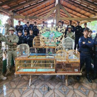 policia-militar-ambiental-resgata-aves-silvestres-em-cativeiro-no-df