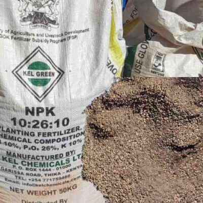 ruto’s-food-security-hopes-facing-storm-amid-fake-fertiliser-scam