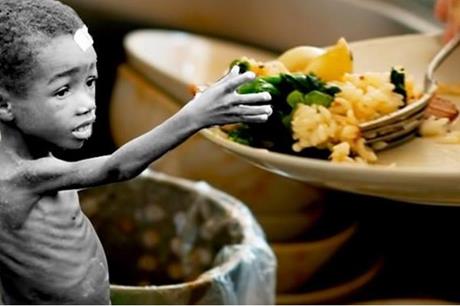 تقرير-اممي:-العالم-يهدر-مليار-وجبة-يوميا-فيما-يتضور-ثلث-سكان-الكون-جوعا