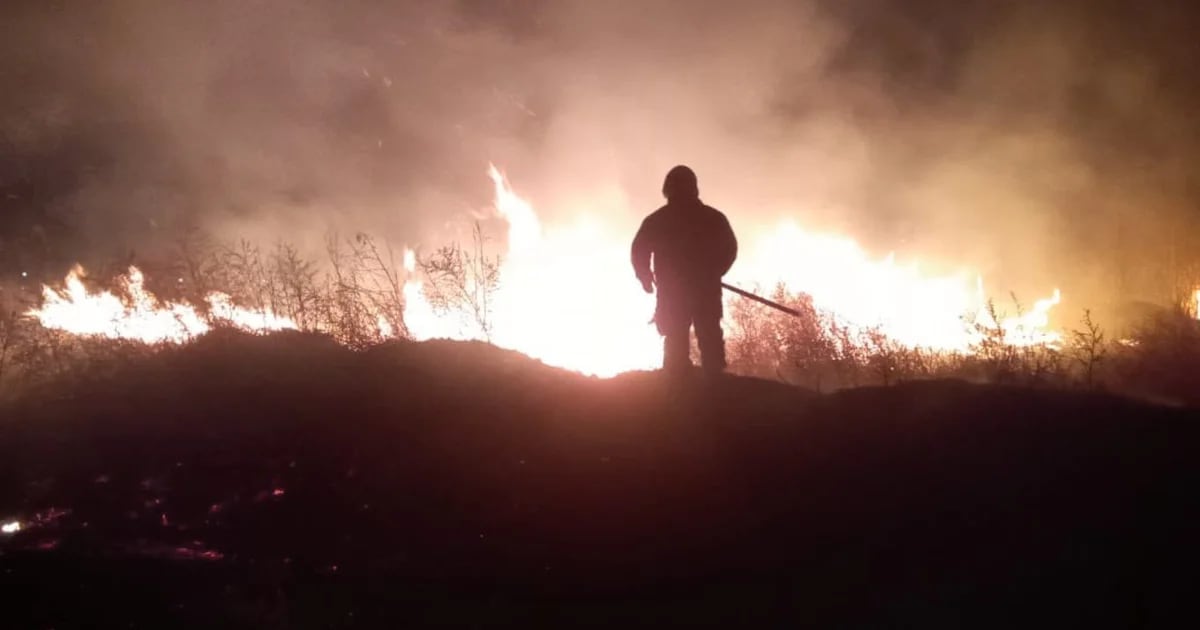 incendios-forestales-en-mexico-hoy-28-de-marzo-en-vivo:-edomex,-uno-de-los-mas-afectados-por-el-fuego