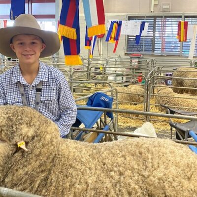 heartfelt-win-for-ally-the-ewe,-named-in-tribute-to-treasured-australian-wool-industry-rep