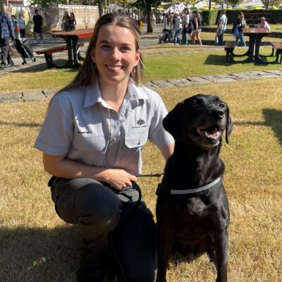 vespa-the-black-labrador-given-top-gong-for-sniffing-out-record-number-of-biosecurity-threats