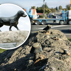 missing-harawene-statue:-aucklander-offers-to-replace-rotorua-stray-dog’s-memorial