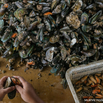 s’pore-restricts-sale,-supply-of-pd-mussels-following-contamination