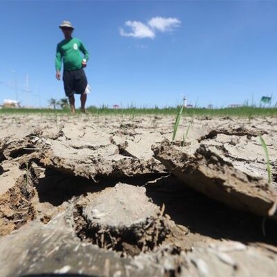 no-nationwide-state-of-calamity-over-el-nino-–-marcos