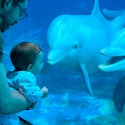 video-|-dolfijnen-betoveren-baby-in-italiaans-dolfinarium