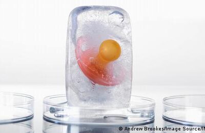 eingefrorene-embryos:-vorteile-und-risiken-von-kryotransfers