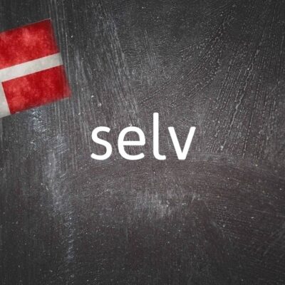 danish-word-of-the-day:-selv