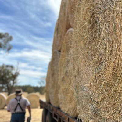 wa-government-rules-out-subsidies-for-farmers-facing-feed-shortage-as-‘seasons-get-hotter-and-drier’