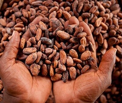 cocoa-futures-set-another-record-to-sell-at-$10,760-a-ton-as-west-african-supply-woes-persist