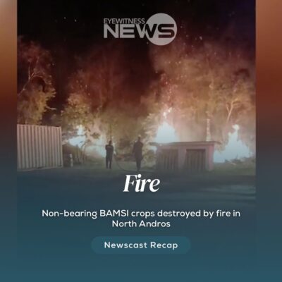non-bearing-bamsi-crops-destroyed-by-fire-in-north-andros