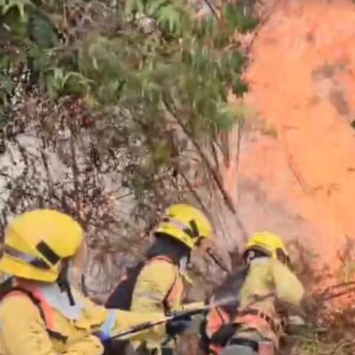 lo-ultimo:-bomberos-de-cali-tratan-de-controlar-incendio-forestal-en-la-buitrera