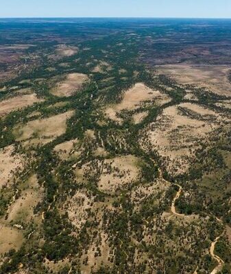 outback-cattle-property-to-expand-national-park-after-‘environmentally-significant’-government-purchase