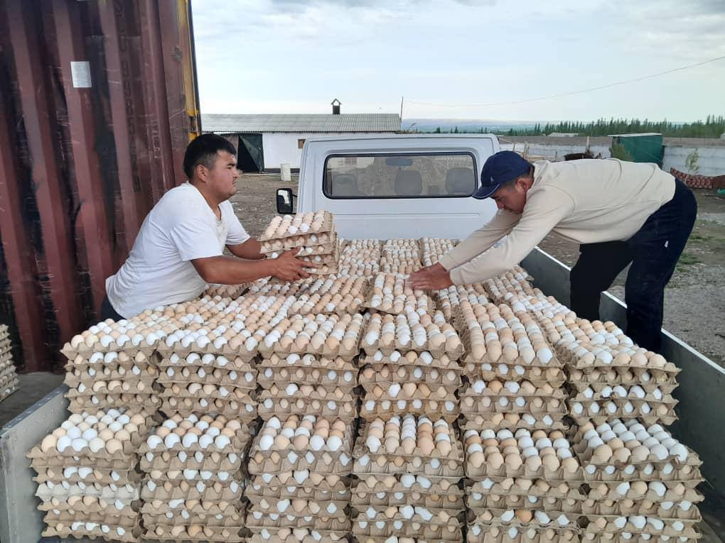 Сотрудники-Баткенского-ветконтроля-уничтожили-30 тысяч-яиц