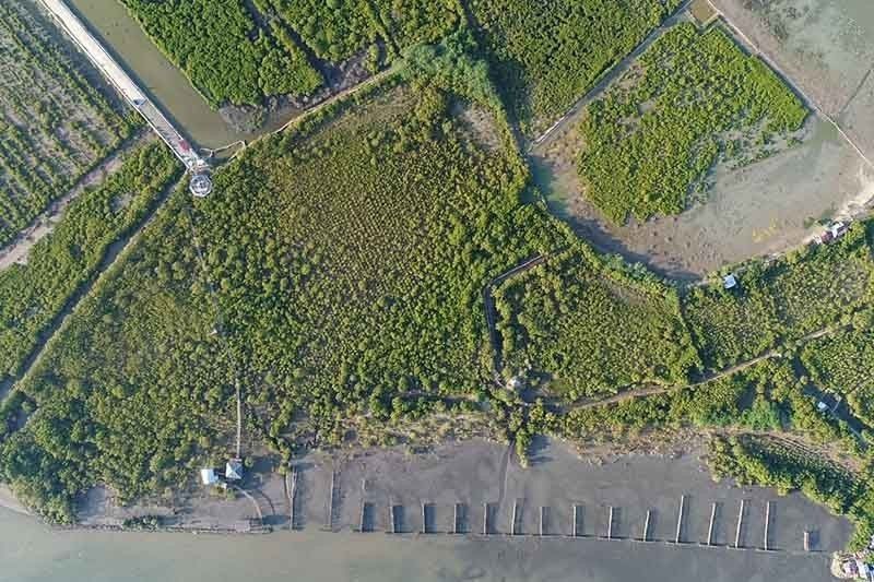 denr-to-assess-abandoned-fishponds-for-mangrove-restoration