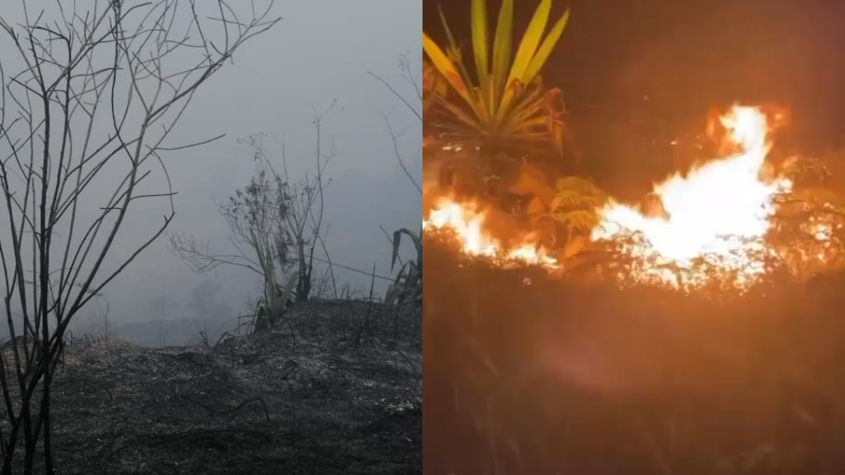 emergencia-por-grave-incendio-forestal-en-chipaque;-videos-muestran-el-avance-de-las-llamas