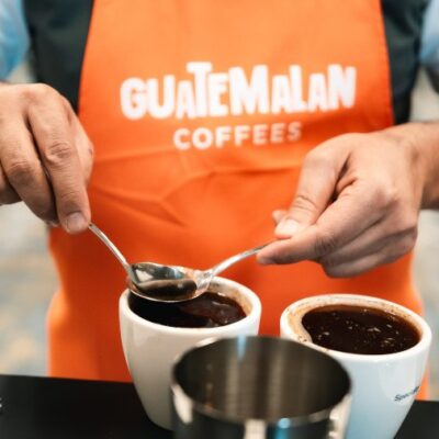 cafe-de-guatemala-sobresalio-en-la-specialty-coffee-expo-2024-de-estados-unidos