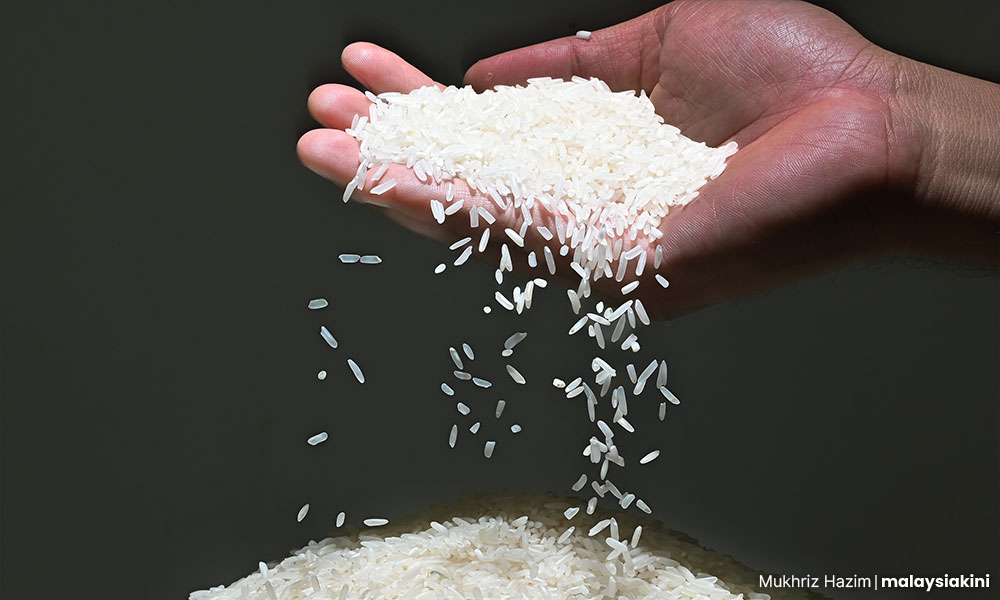 experts:-govt-diet-won’t-solve-lack-of-business-appetite-for-local-rice