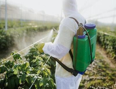 الزراعة-تمنع-استخدام-مادتين-من-المبيدات