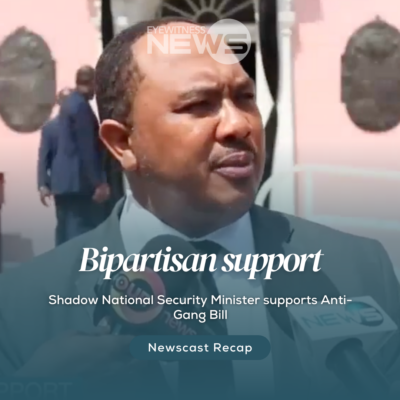 shadow-national-security-minister-supports-anti-gang-bill