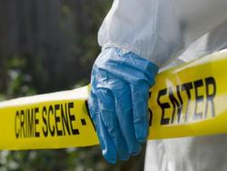 human-skeletal-remains-found-in-bushes-in-york-town,-clarendon