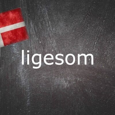 danish-word-of-the-day:-ligesom