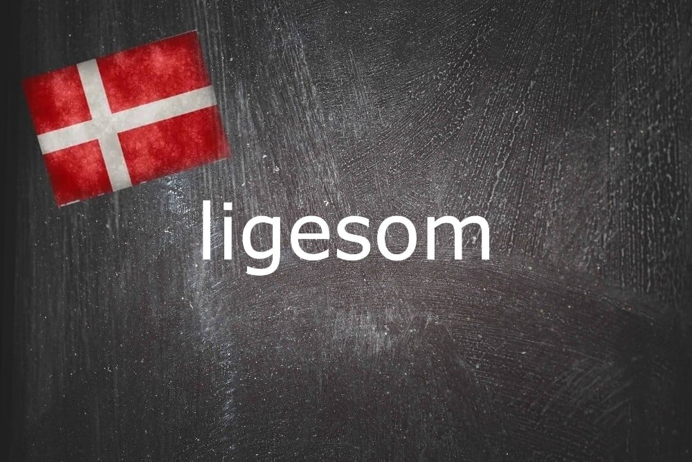 danish-word-of-the-day:-ligesom
