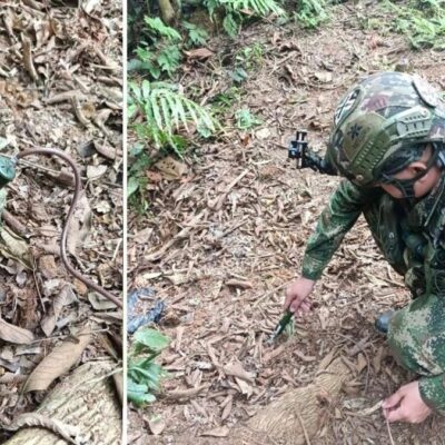 soldados-destruyen-artefactos-explosivos-instalados-por-las-agc-en-zona-rural-de-taraza