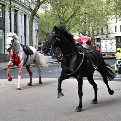 horses-running-loose-in-central-london