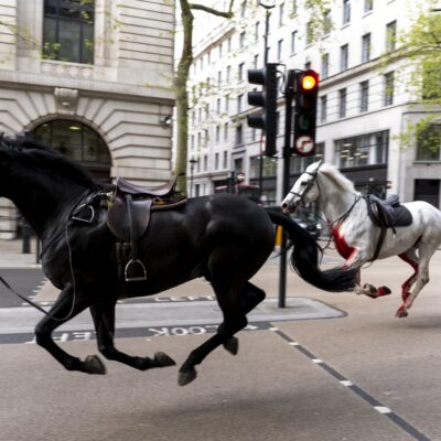 imagini-virale-cu-doi-cai-de-cavalerie-galopand-fara-control-in-centrul-londrei.-pentru-prinderea-lor-a-intervenit-armata