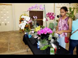 jamaica-horticultural-society-flower-show-in-bloom-this-weekend