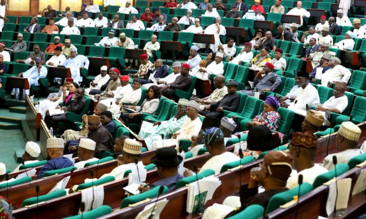 reps-wades-into-alleged-discrimination-against-nigerians-in-abuja-chinese-supermarket