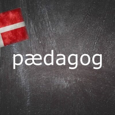 덴마크어 - 오늘의 단어:-paedagog