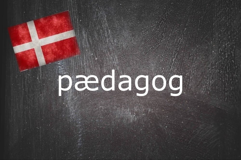 danish-word-of-the-day:-paedagog