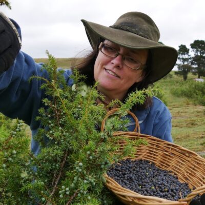australian-grown-juniper-berries-could-prove-the-perfect-ingredient-for-local-gin-makers