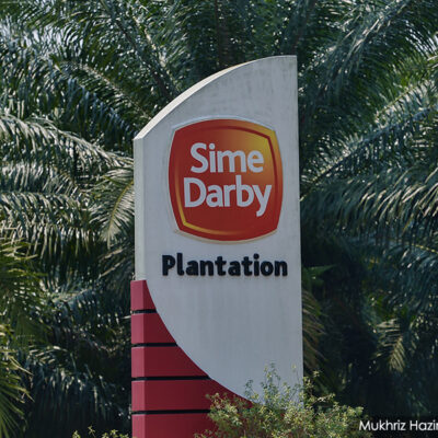 sime-darby-plantation-stands-firm-on-banning-livestock-grazing