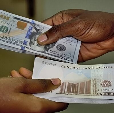 nigeria-plans-to-set-up-$10-billion-diaspora-fund-to-attract-dollar-inflows