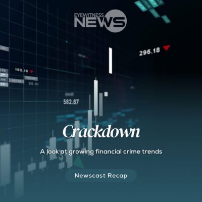 a-look-at-growing-financial-crime-trends