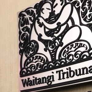 waitangi-tribunal-says-government’s-section-7aa-change-in-oranga-tamariki-act-will-create-harm