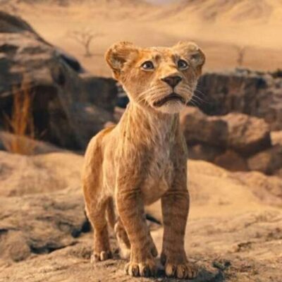 disney-presenta-el-primer-trailer-de-mufasa:-el-rey-leon