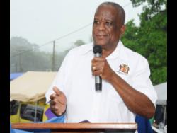 farmers-in-st-ann-commended-for-high-volume-of-food-production