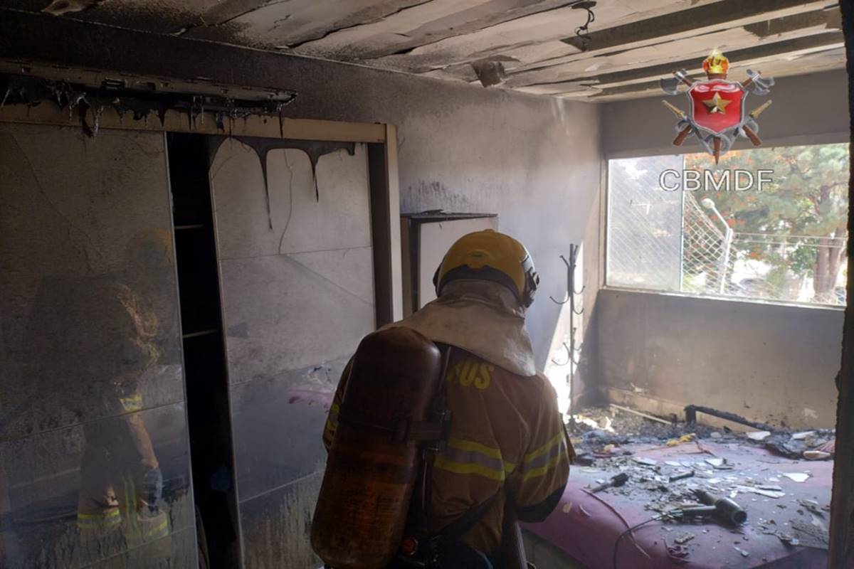 video:-bombeiros-salvam-dois-cachorros-em-apartamento-incendiado-no-df