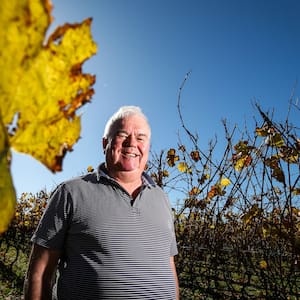 hawke’s-bay:-apple-and-grape-picking-season-wraps-up-–-how-growers-fared