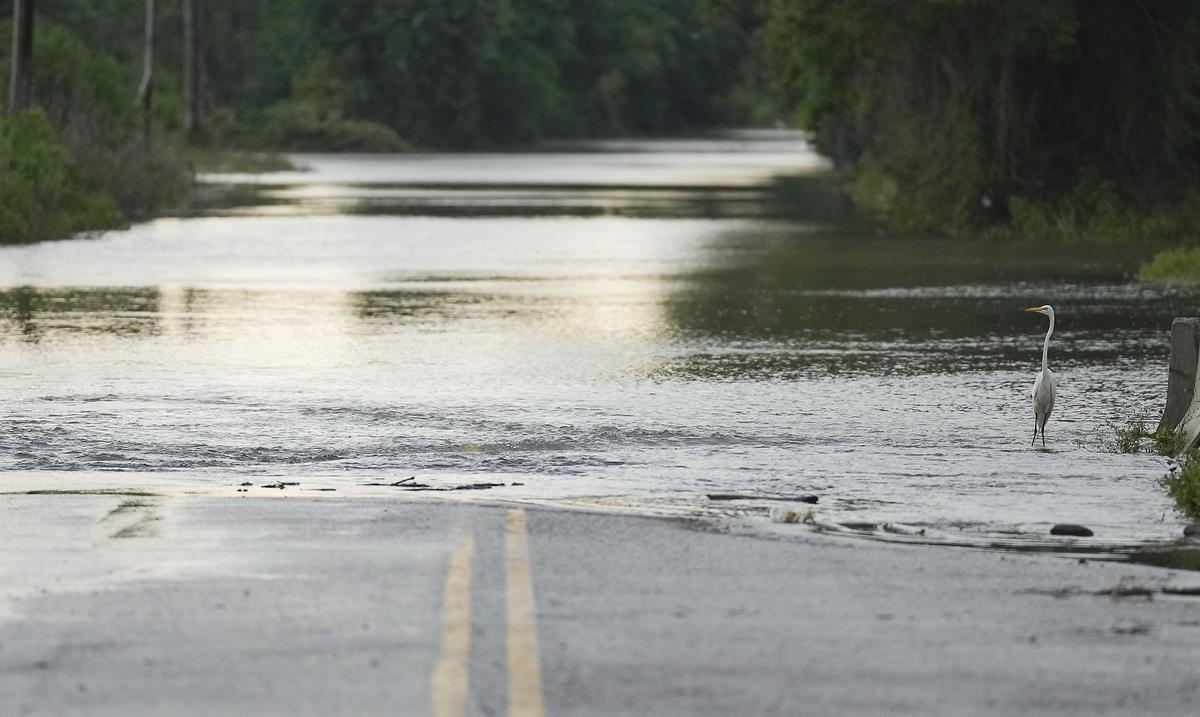 rescatan-al-menos-233-personas-tras-fuertes-lluvias-e-inundaciones-en-texas