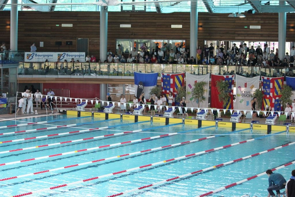 الجزائر-تحصد-25-ميدالية-في-اختتام-البطولة-الإفريقية-للسباحة