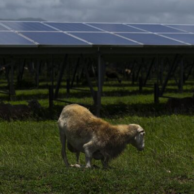 ¿fincas-agricolas-o-fincas-solares?-un-debate-al-corazon-de-dos-problemas-centrales-en-puerto-rico