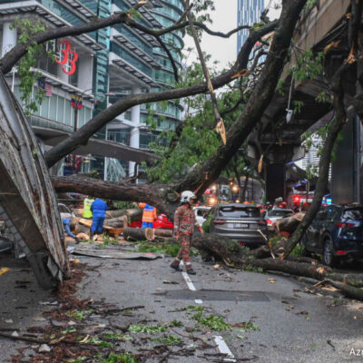 one-dead,-one-hurt-after-tree-falls-near-monorail-track-in-city-centre