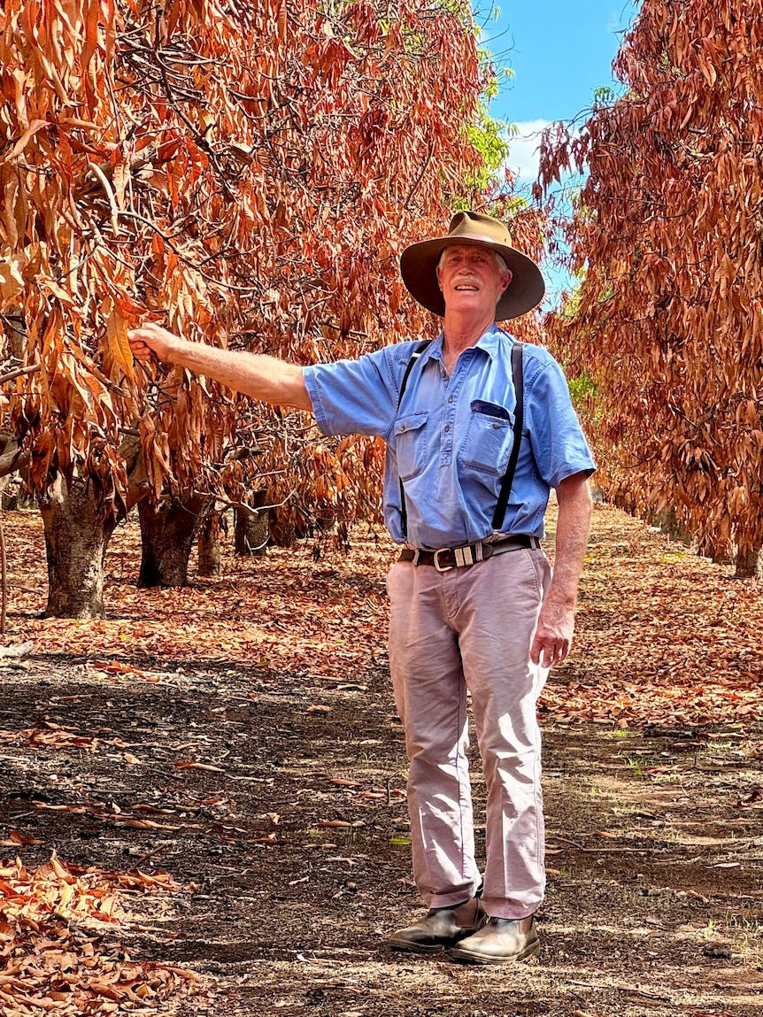 months-after-the-smoke-cleared-it’s-still-a-long-road-to-recovery-for-perth-fruit-growers